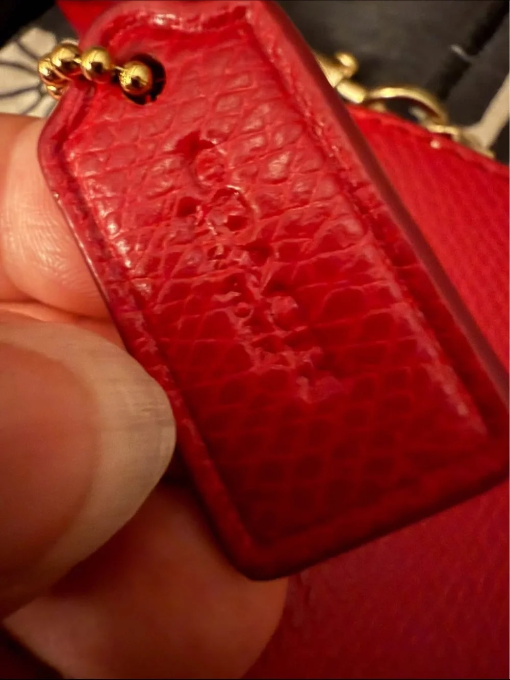 Coach compact wristlet